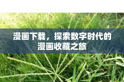 探索数字时代的漫画收藏之旅图片