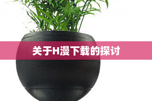 关于H漫下载的探讨图片