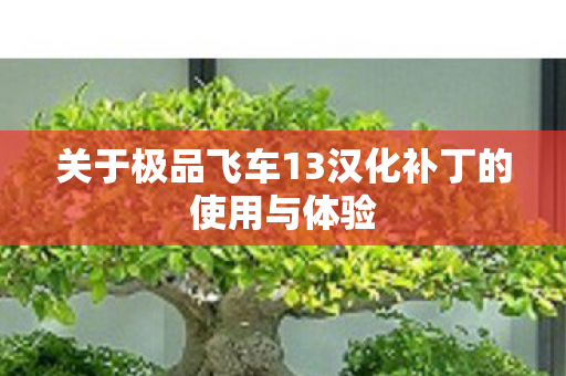 关于极品飞车13汉化补丁的使用与体验图片