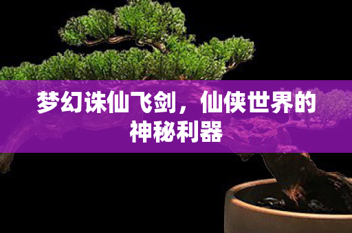 仙侠世界的神秘利器图片