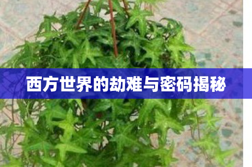 西方世界的劫难与密码揭秘图片