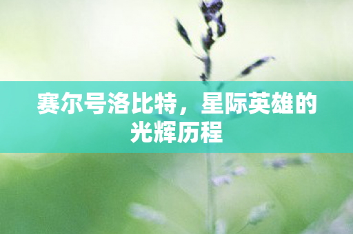 星际英雄的光辉历程图片