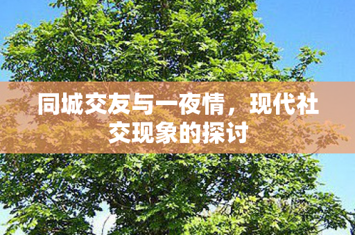 现代社交现象的探讨图片