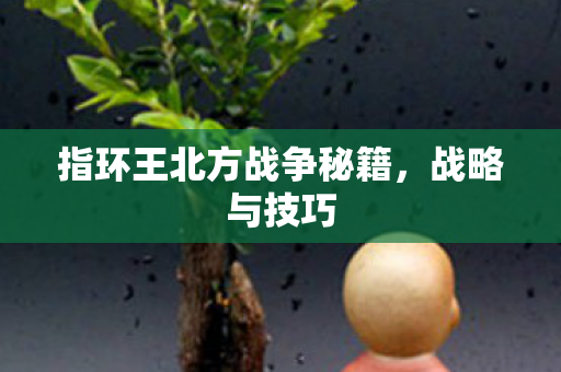 指环王北方战争秘籍图片