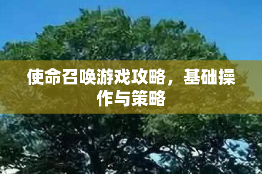使命召唤游戏攻略图片
