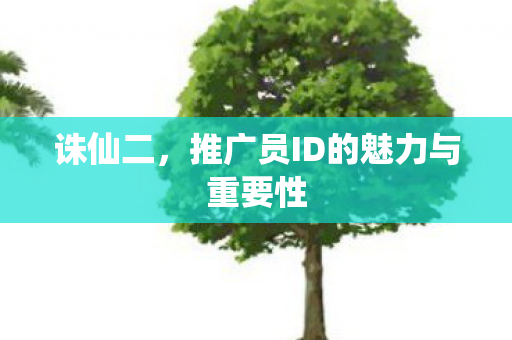 推广员ID的魅力与重要性图片