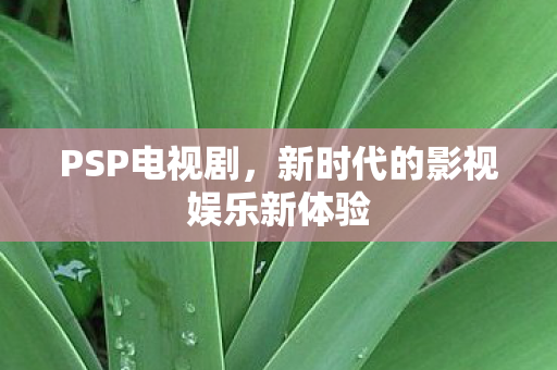 新时代的影视娱乐新体验图片
