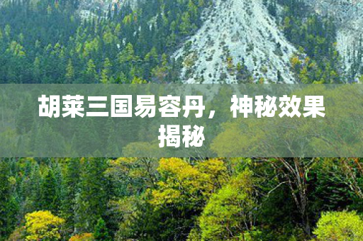胡莱三国易容丹图片