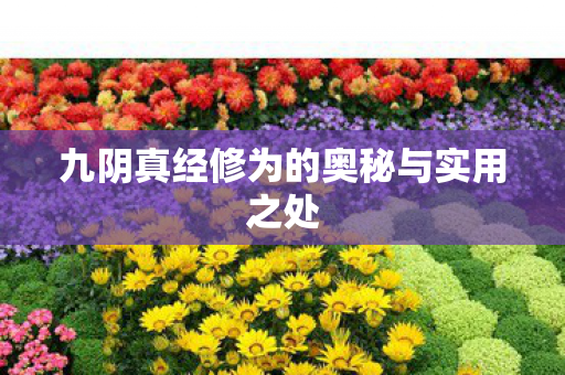 九阴真经修为的奥秘与实用之处图片