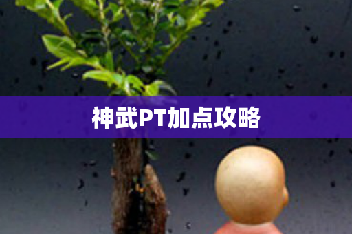 神武PT加点攻略图片