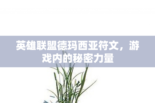 英雄联盟德玛西亚符文图片