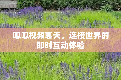连接世界的即时互动体验图片