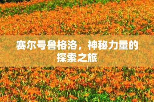 神秘力量的探索之旅图片