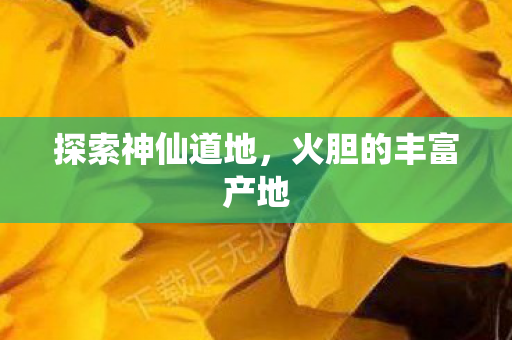 火胆的丰富产地图片