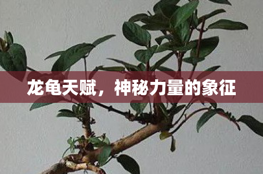 神秘力量的象征图片