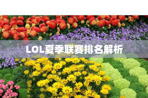 LOL夏季联赛排名解析图片