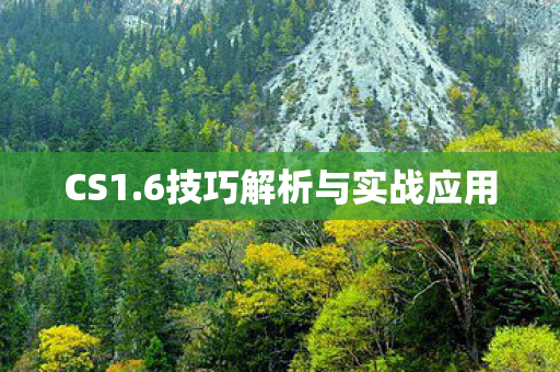 6技巧解析与实战应用图片