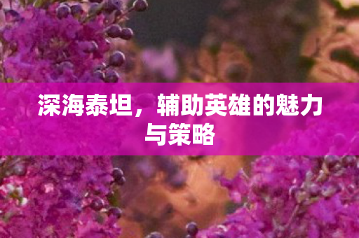 辅助英雄的魅力与策略图片