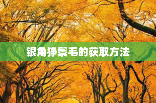 银角狰鬃毛的获取方法图片