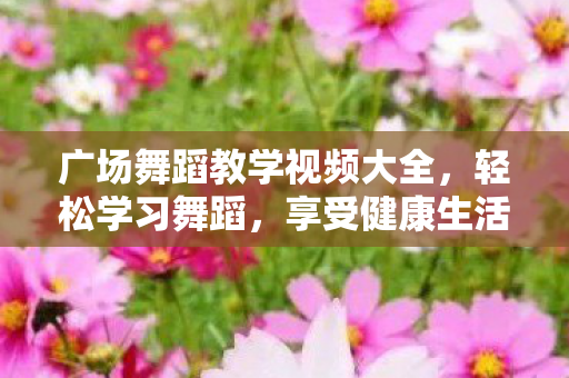 广场舞蹈教学视频大全图片