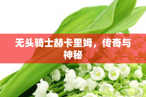 无头骑士赫卡里姆图片