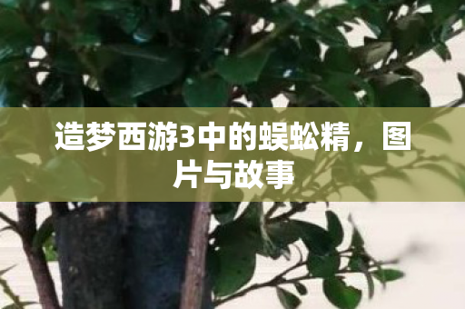 造梦西游3中的蜈蚣精图片