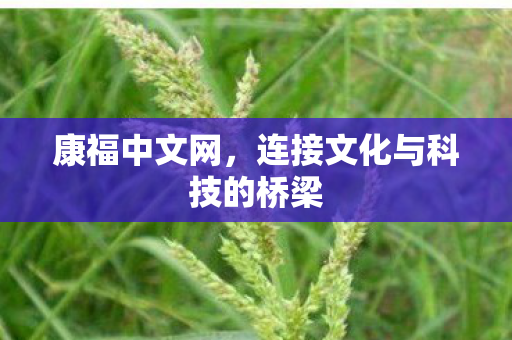连接文化与科技的桥梁图片