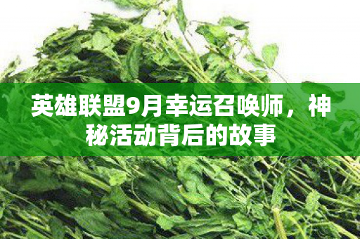 英雄联盟9月幸运召唤师图片