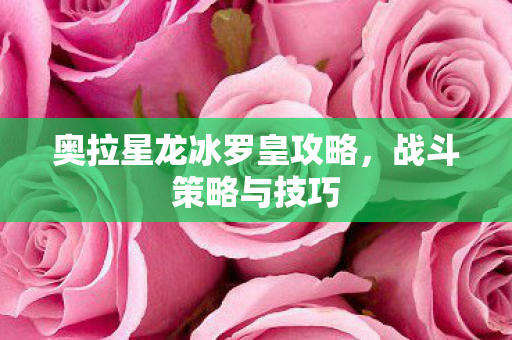 奥拉星龙冰罗皇攻略图片