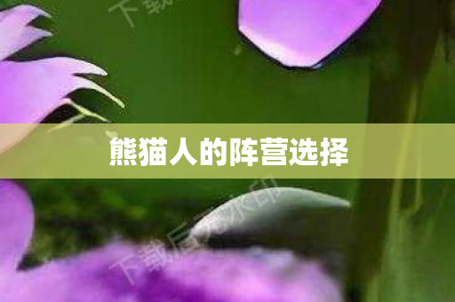 熊猫人的阵营选择图片