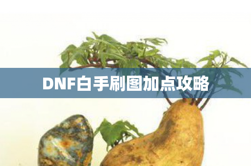 DNF白手刷图加点攻略图片