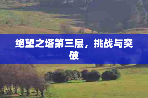 绝望之塔第三层图片