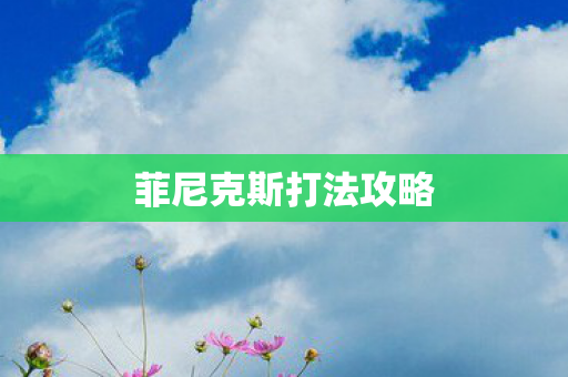 菲尼克斯打法攻略图片