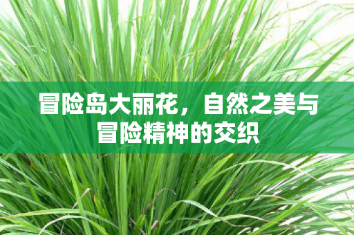 自然之美与冒险精神的交织图片