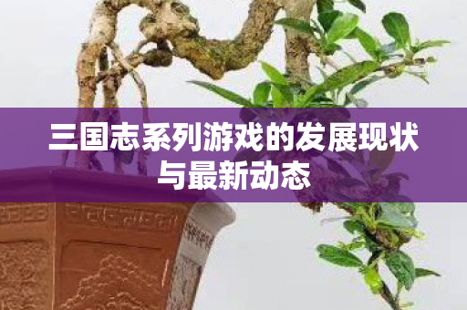 三国志系列游戏的发展现状与最新动态图片