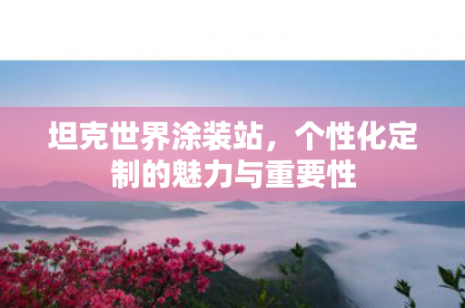 个性化定制的魅力与重要性图片