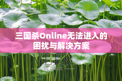三国杀Online无法进入的困扰与解决方案图片