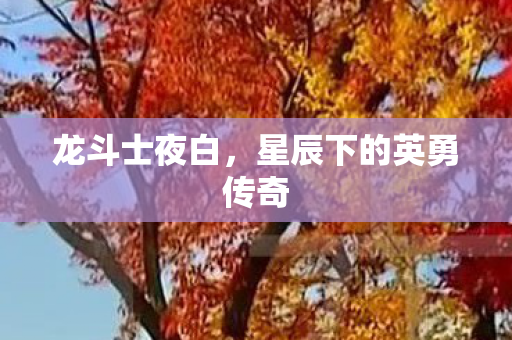 星辰下的英勇传奇图片