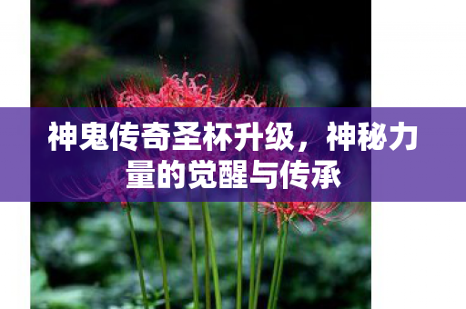 神秘力量的觉醒与传承图片