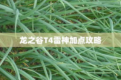 龙之谷T4雷神加点攻略图片