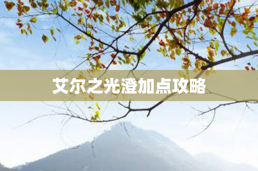 艾尔之光澄加点攻略图片