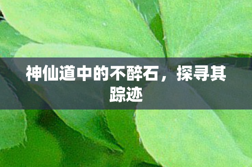神仙道中的不醉石图片