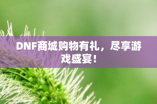 DNF商城购物有礼图片