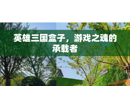 游戏之魂的承载者图片