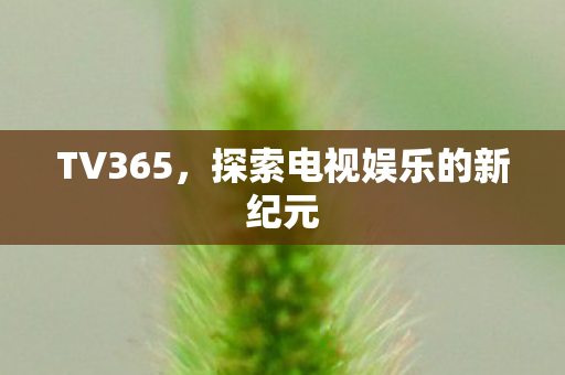 探索电视娱乐的新纪元图片