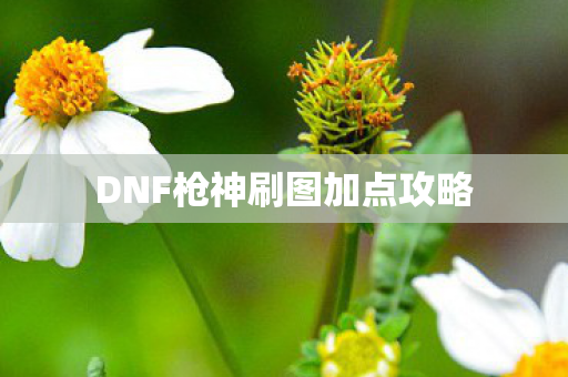 DNF枪神刷图加点攻略图片