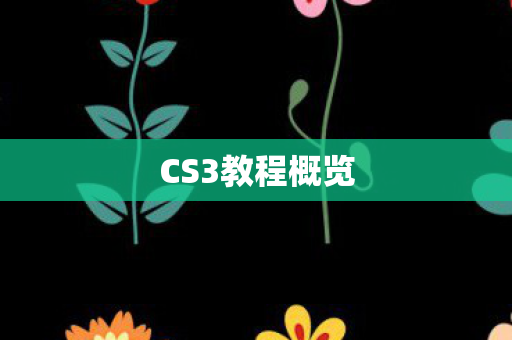 CS3教程概览图片