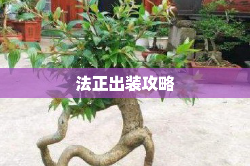 法正出装攻略图片