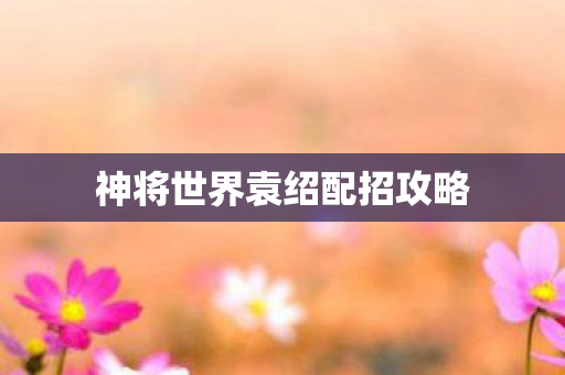 神将世界袁绍配招攻略图片