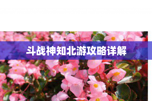 斗战神知北游攻略详解图片
